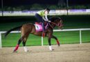 Internationals Seeking Kentucky Derby Spots in Dubai